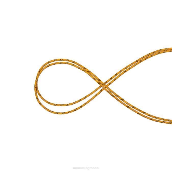 Mammut εξοπλισμός για άνδρες και γυναίκες Στατική απόδοση 10.0 κιτρινόμαυρο J2DJ1414