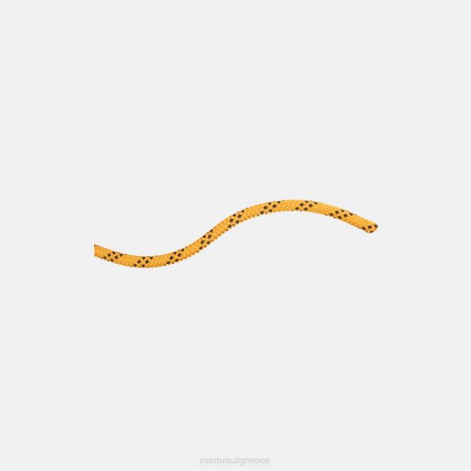 Mammut εξοπλισμός για άνδρες και γυναίκες Στατική απόδοση 10.0 κιτρινόμαυρο J2DJ1414