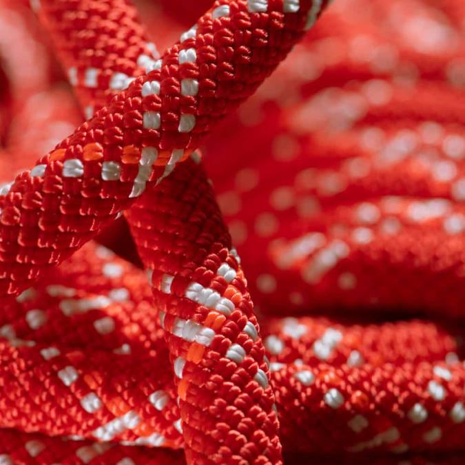 Mammut εξοπλισμός για άνδρες και γυναίκες 9,5 γυμναστήριο κλασικό σχοινί βατόμουρο-λευκό J2DJ502