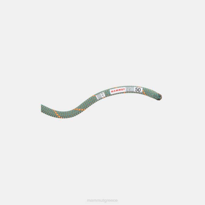 Mammut εξοπλισμός για άνδρες και γυναίκες 9,9 σκοινί εργατικού αλόγου βράχου βόα-ωκεανός J2DJ484