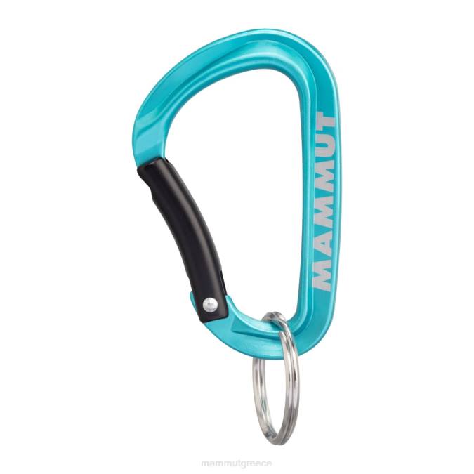Mammut εξοπλισμός για άνδρες και γυναίκες mini carabiner classic keylock s μπλε J2DJ1318