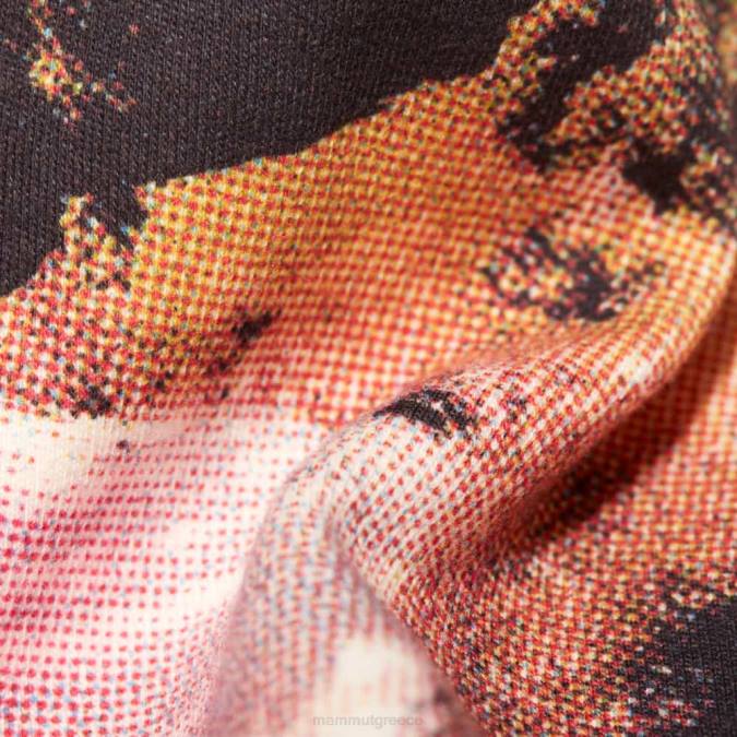 Mammut x είδη ένδυσης γυναίκες εκτός αν μπλουζάκι για την ημέρα του βουνού άσπρο J2DJ205