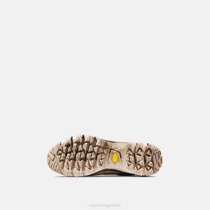 Mammut είδη υπόδησης άνδρες υδράργυρος iv χαμηλό gtx σκοτεινό σαφάρι-wren J2DJ1215